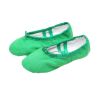 Practice Dance Shoes Ballet Shoes Canvas Ballet Dance Shoes Ballet Slipper Split